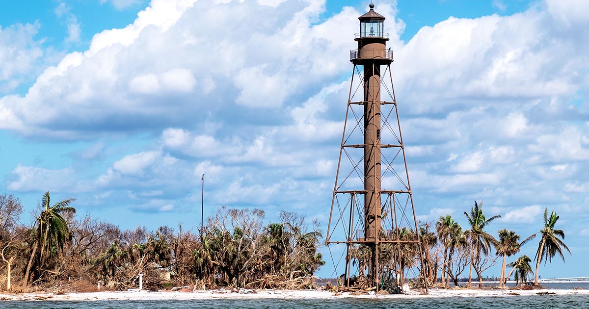 10/19/22 UPDATE: Blue Dolphin Rebuilding Journey